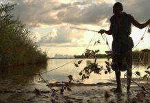 Pesca em Moçambique